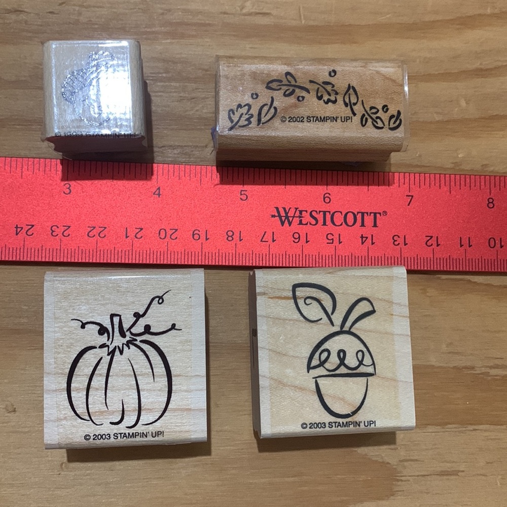 It’s fall y’all stamps. Pumpkin, acorns and leaves - Picture 3 of 4